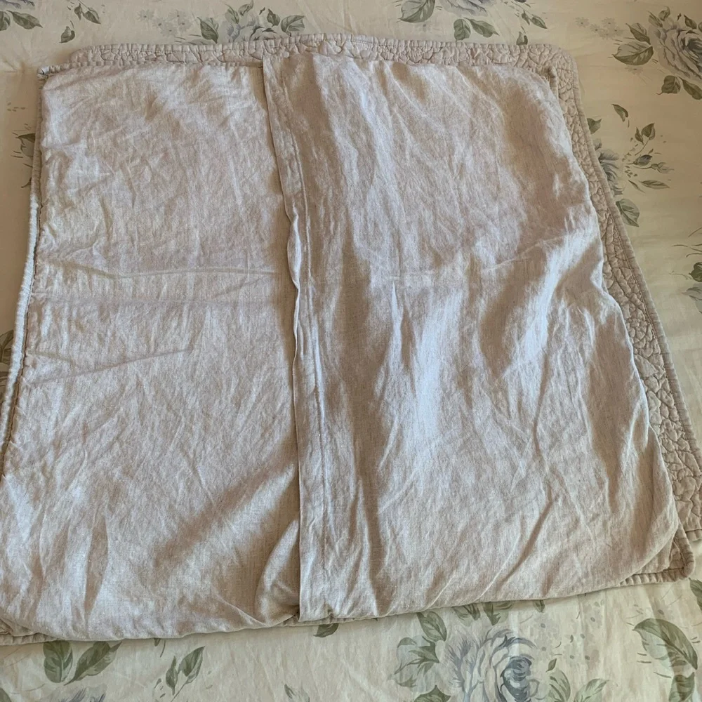 Pottery Barn Euro shams